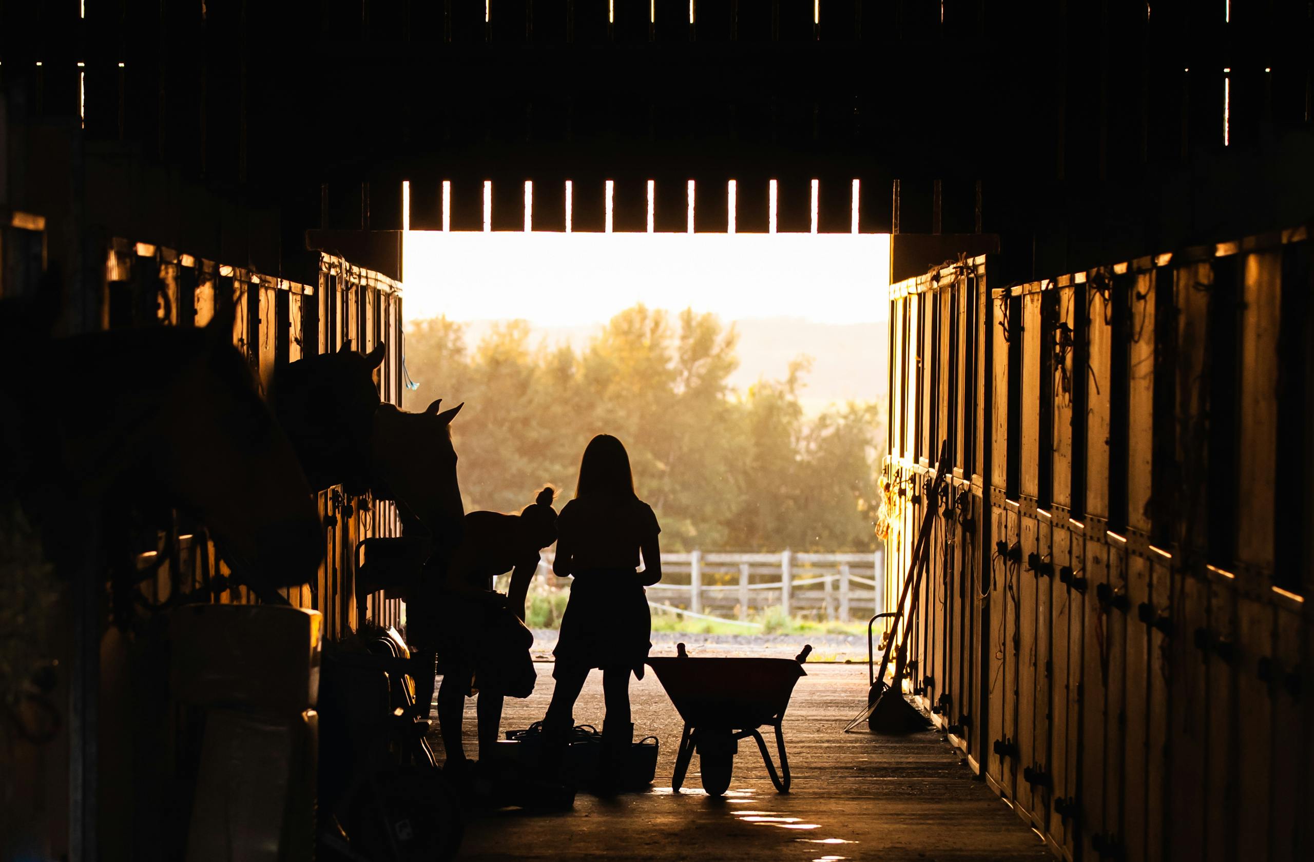 Silhouetted figures with horses in barn at sunrise, capturing rural lifestyle.